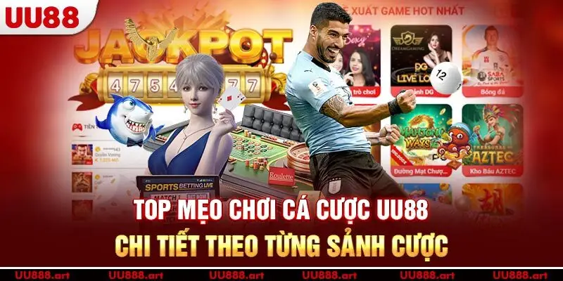 Top mẹo chơi cá cược UU88 chi tiết theo từng sảnh cược